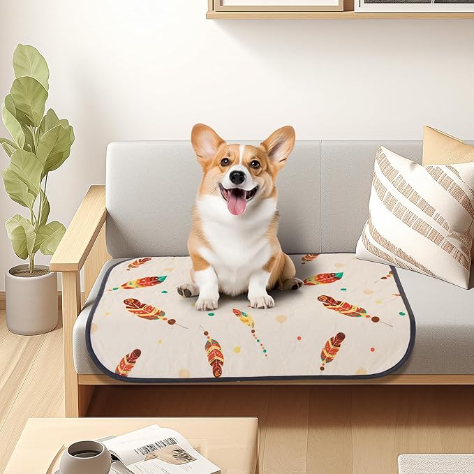 Washable Pee Pads for Dogs: 2 Pack Reusable Pee Pads for Dogs Floor,Playpen,Crate,Couch,18x24 Inch