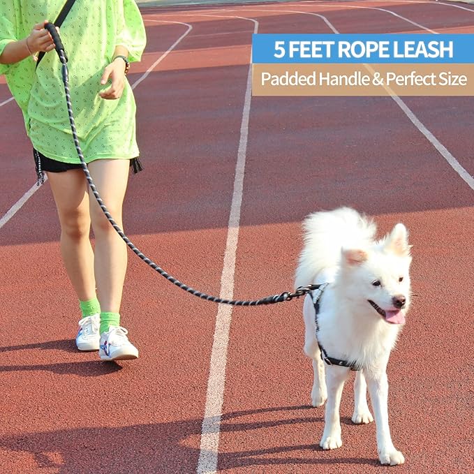 BAAPET 2/4/5/6 FT Dog Leash with Comfortable Padded Handle and Highly Reflective Threads for Small Medium and Large Dogs (5FT-1/2''