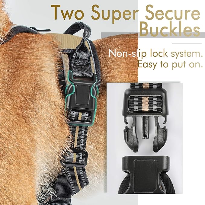 rabbitgoo Dog Harness 2 Leash