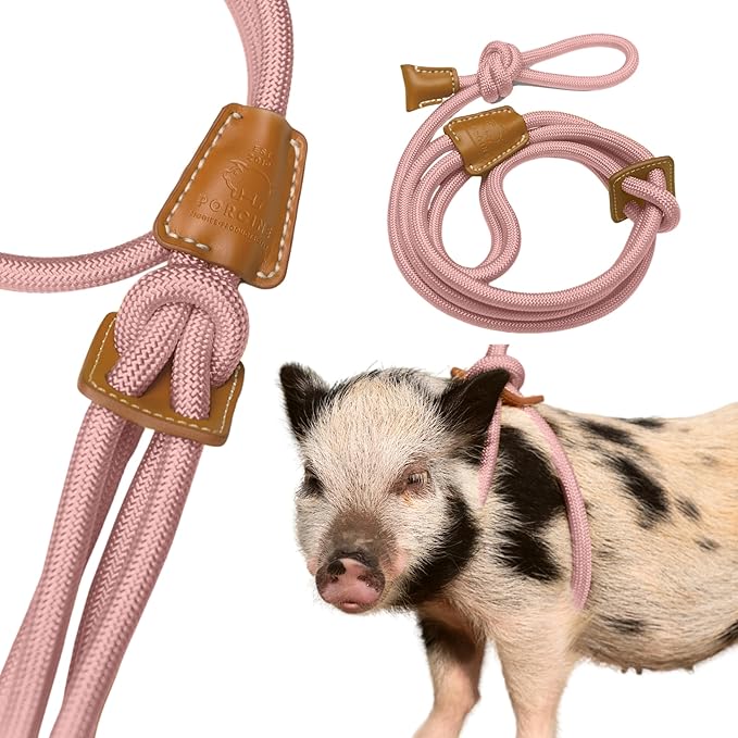 Pig Harness Leash-Fully Adjustable Pig Leash Harness