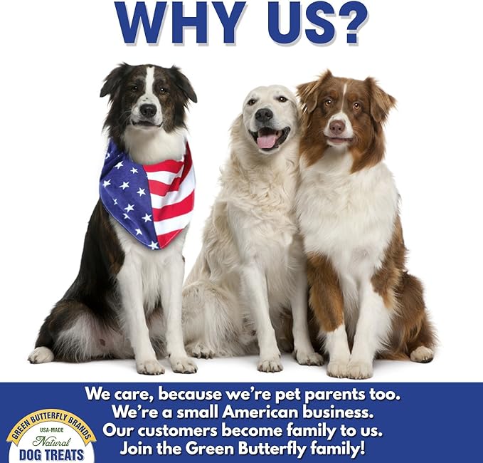 Freeze Dried Lamb Heart Dog Treats Made in