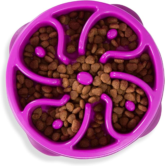 Outward Hound Fun Feeder Slo Bowl
