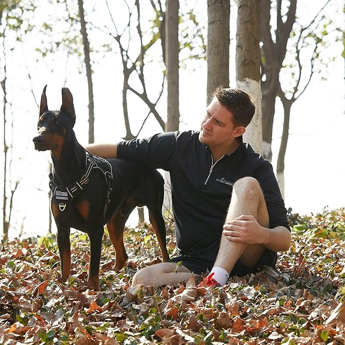 BUMBIN Tactical Dog Harness for Small Dogs No Pull