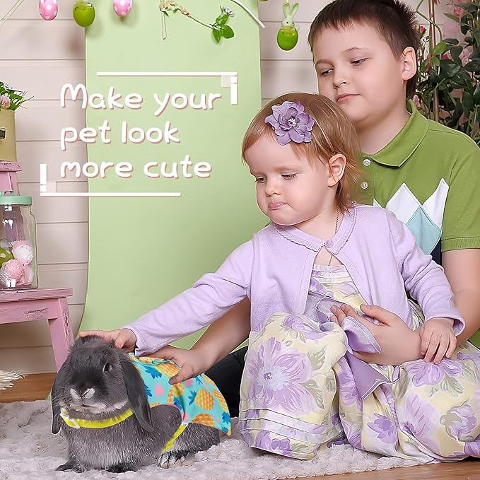 3 Piece Cute Rabbit Leash and Harness Set
