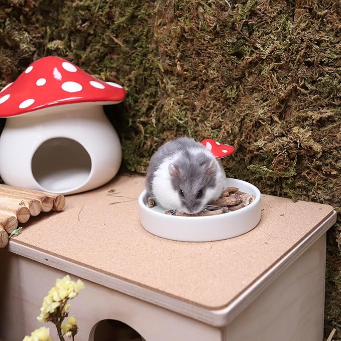 Niteangel Hamster Snack & Treats Toy 0.9oz (25g))