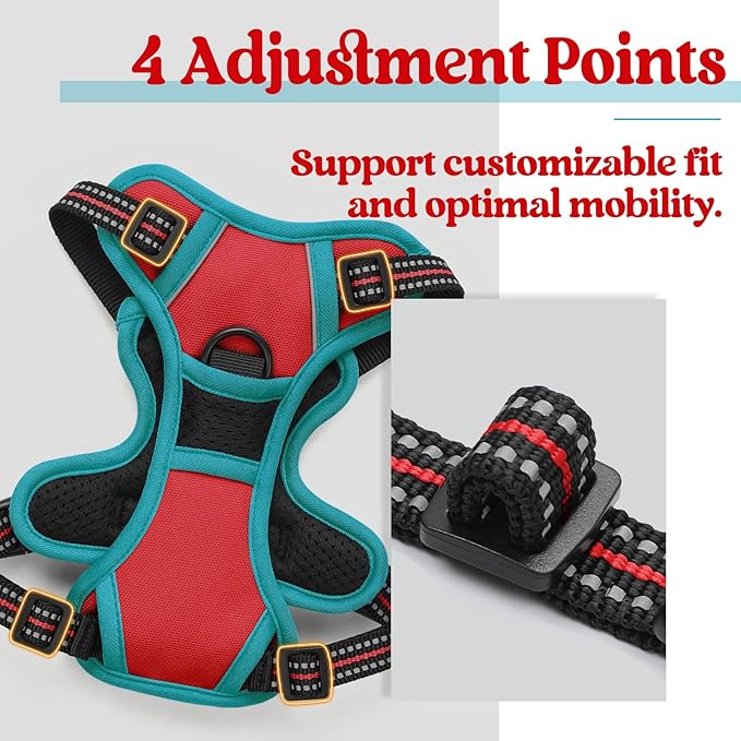 rabbitgoo Dog Harness 2 Leash
