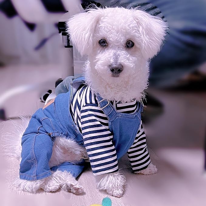 Rbenxia 1 Piece of Dog Denim Shirts Puppy Jean Jacket Sling Jumpsuit Costumes Pet Jean Overalls Dog Pants Outfits for Small Puppy Cat Pets (Blue