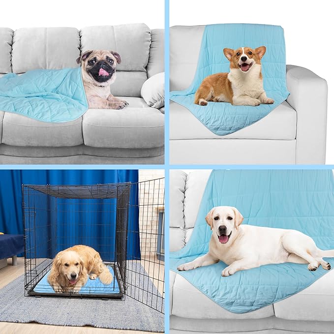 Dog Cooling Blanket 36"× 51")