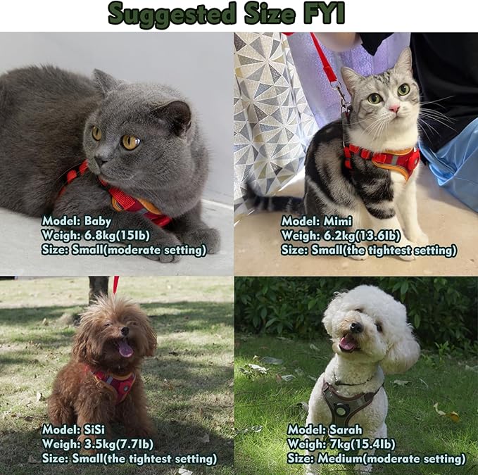 Cat Harness and Leash for Walking