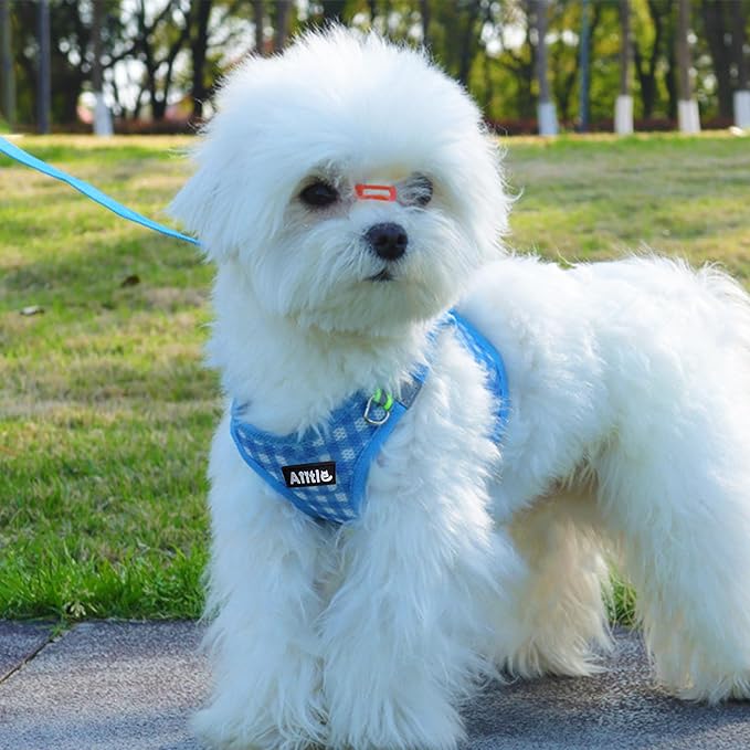 AIITLE No Pull Dog Harness and Leash Set