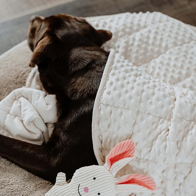 Calming Weighted Dog Blanket for Anxiety Relief