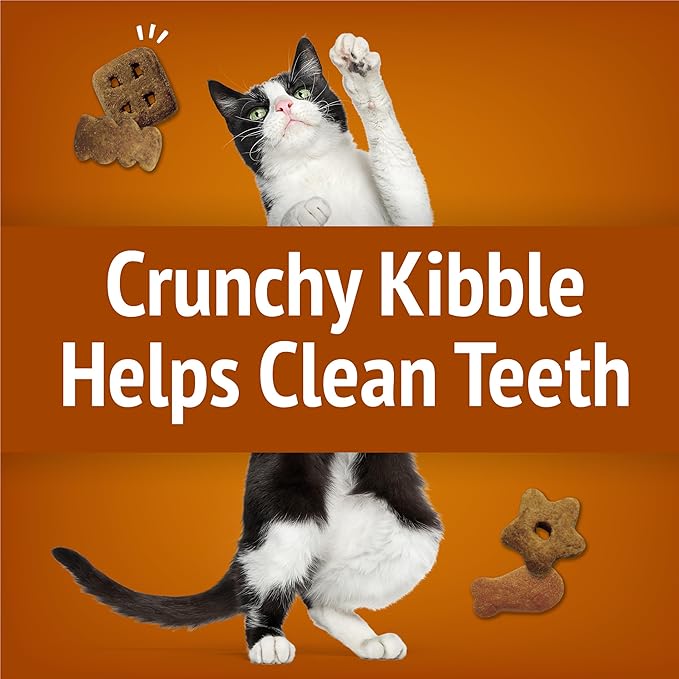 Purina Friskies Cat Treats 20 Oz.