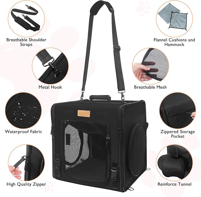 PETUX Cat Travel Carrier with Little Box