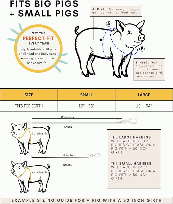 Mini Pig Harness & Leash (S/M) Fully Adjustable