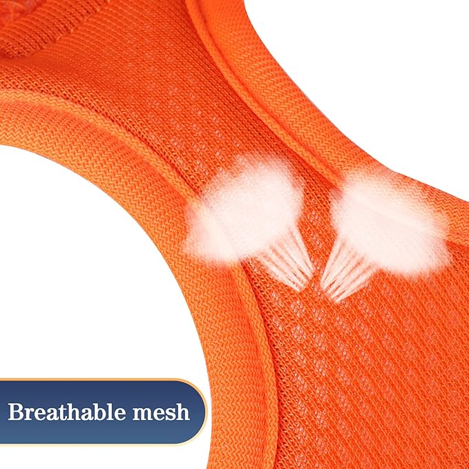 YIMEIS Dog Harness and Leash Set 1)