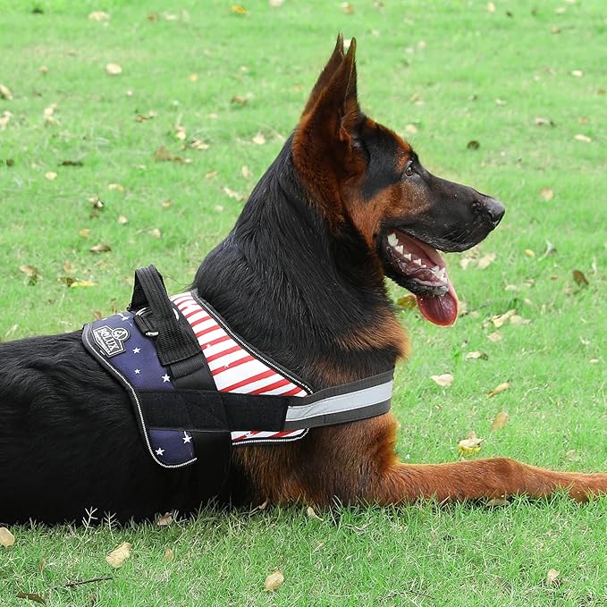 Bolux Dog Harness