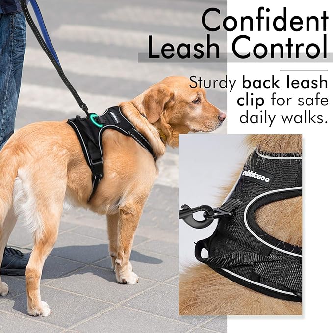 rabbitgoo Dog Harness 2 Leash