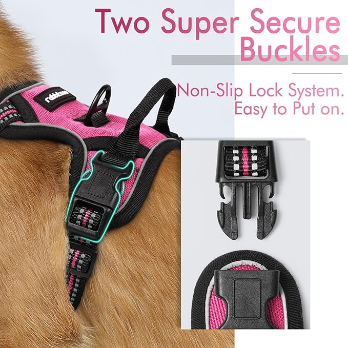 rabbitgoo Dog Harness 2 Leash