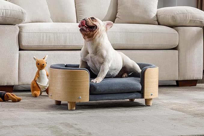 Dog Bed for Small Dogs Unique Design 220Lbs