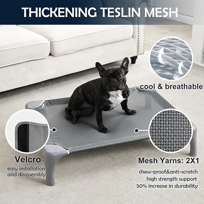 Elevated Dog Bed for Medium Dogs