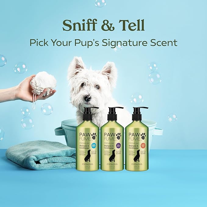 Pawfume Dog Shampoo and Conditioner – Hypoallergenic Dog Shampoo for Smelly Dogs – Best Dog Shampoos & Conditioners – Probiotic Shampoo for Dogs – Best Dog Shampoo for Puppies (Blue Ribbon 2-Pack)