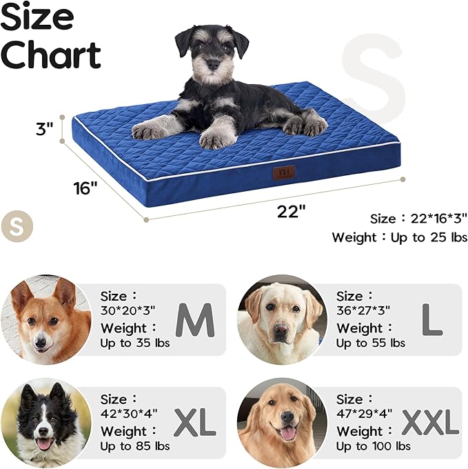 Orthopedic Dog Beds for Small Dogs with Removable Washable Cover 22 inch,Navy