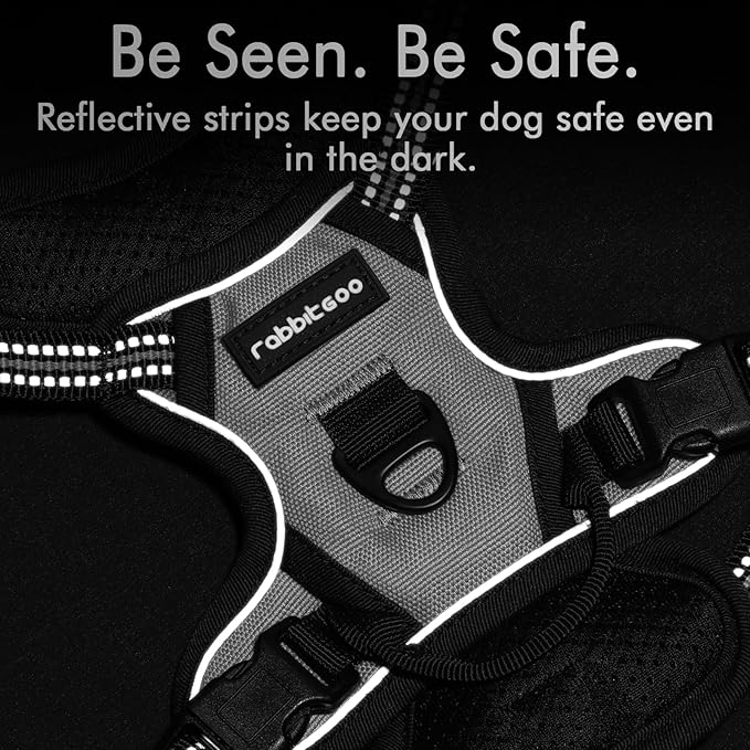 rabbitgoo Dog Harness 2 Leash
