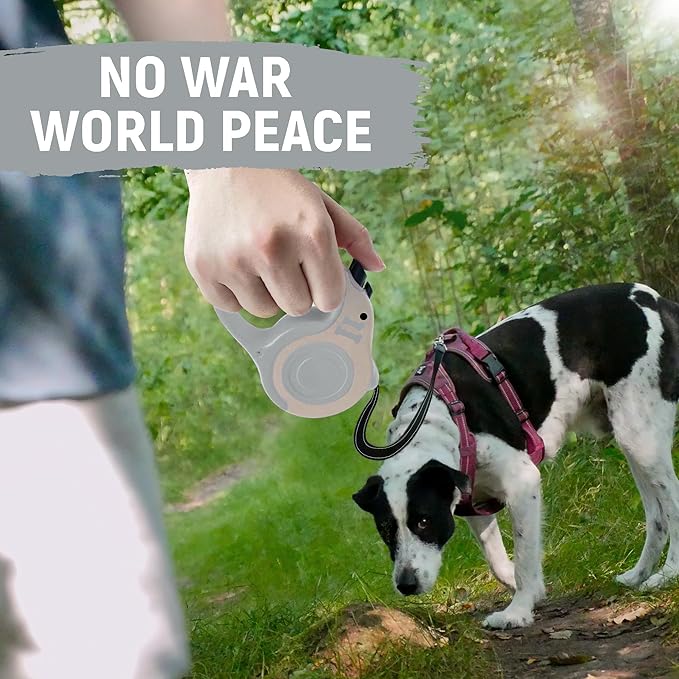 Retractable Dog Leash Automatic Telescopic Tractor Dog Tape 10/16 FT