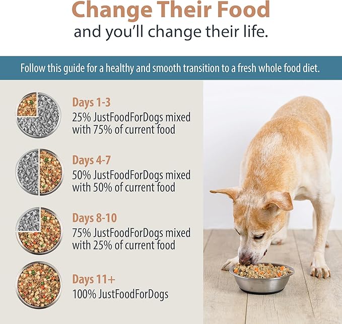 JustFoodForDogs DIY Nutrient Blend for Homemade Dog Food, Beef & Russet Potato, 4.55oz
