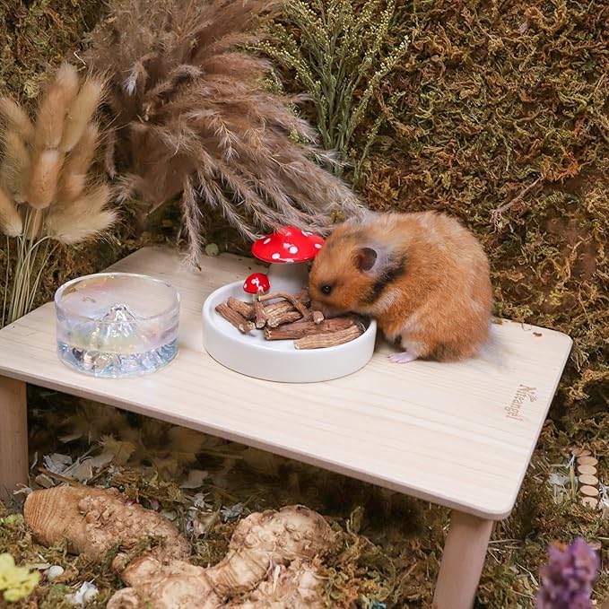 Niteangel Hamster Snack & Treats Toy 0.9oz (25g))