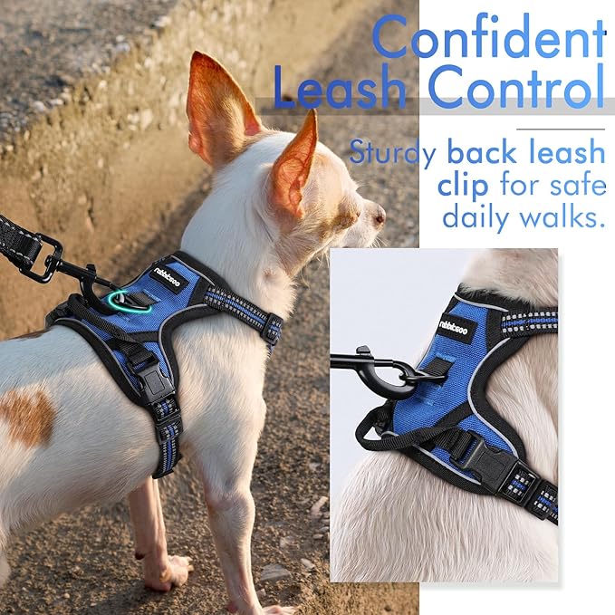 rabbitgoo Dog Harness 2 Leash