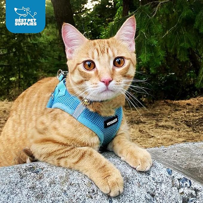 Voyager Step-in Air Dog Harness 14.5-16")