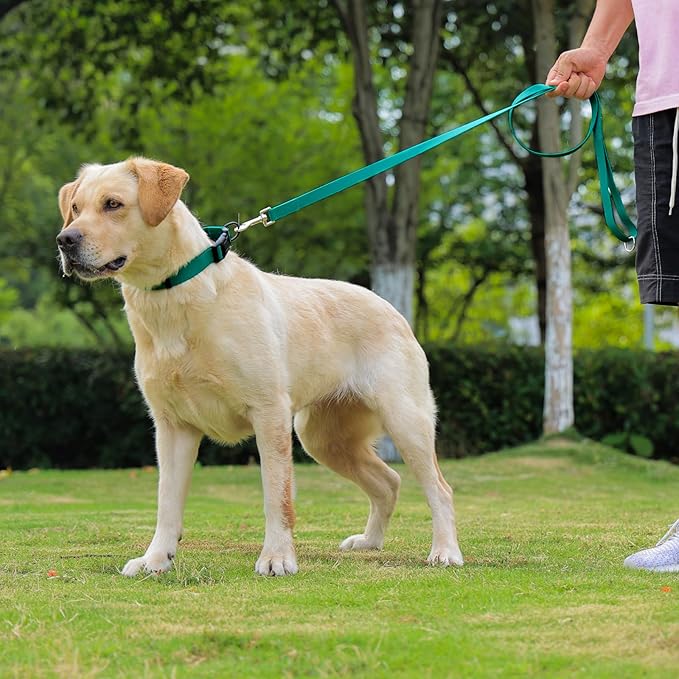 Waterproof Dog Collar 9.5-14.1 inch)