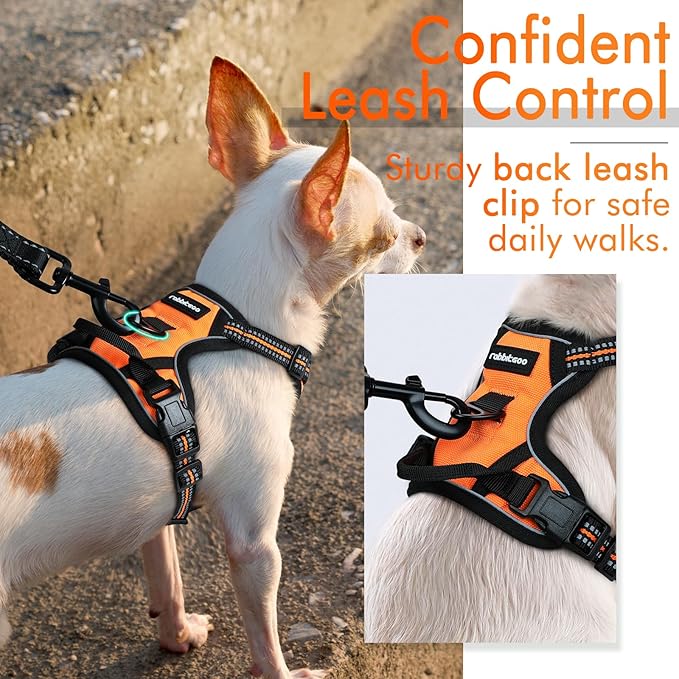 rabbitgoo Dog Harness 2 Leash