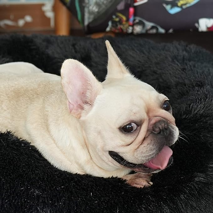 Black Dog Bed for Small Dogs Washble Calming 23 Inch