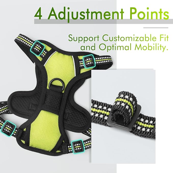 rabbitgoo Dog Harness 2 Leash