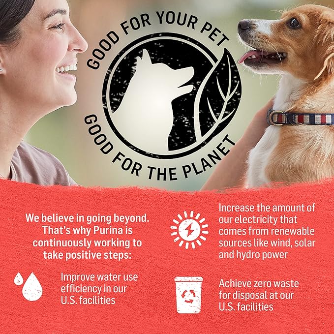 Purina Beyond Grain Free, Natural Pate Wet Dog Food, Chicken & Beef Recipe Variety Pack - (12) 13 oz. Cans