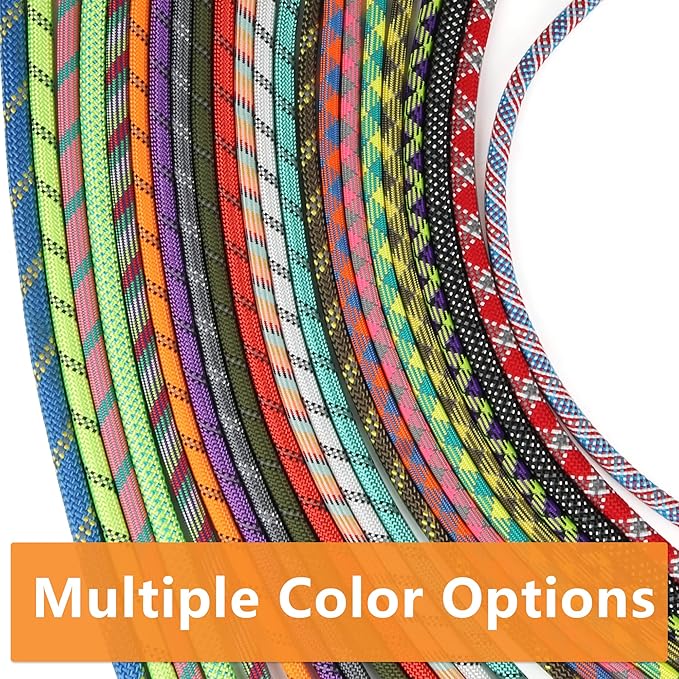 NTR 6FT Training Leash for Dog