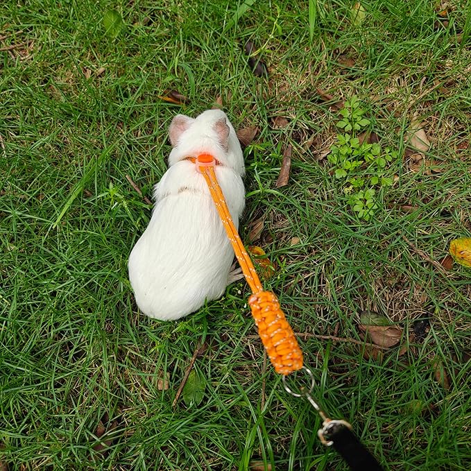 Handmade Figure 8 Harness and Leash for Ferrets/Bearded