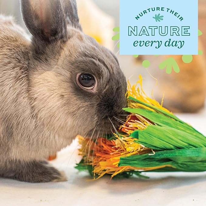 Oxbow Enriched Life Celebration Bouquet