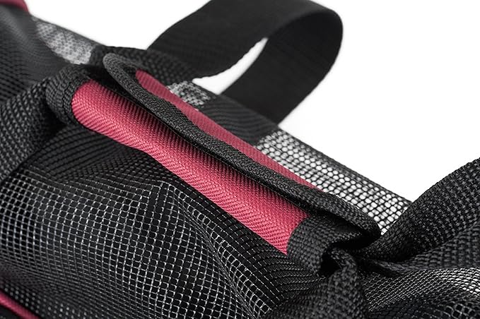 Soft-Sided Pet Carrier for Cat and Small Dog 2 Mesh