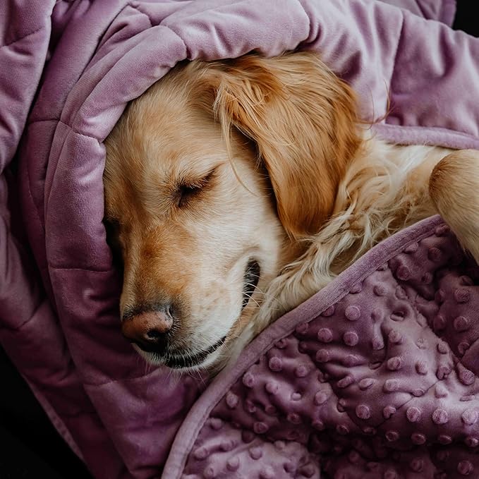 Calming Weighted Dog Blanket for Anxiety Relief