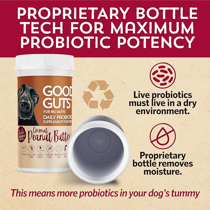 Good Guts for Big Mutts Probiotic for Dogs 12 Billion 11 Strains, 5 Digestive 2 Prebiotics, (20 Days)