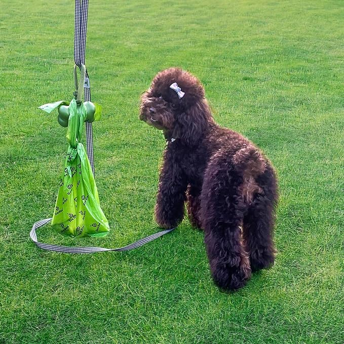 Dog Poop Bags with Handles 20 Rolls 240