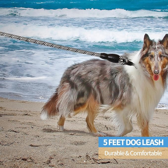 BAAPET 2/4/5/6 FT Dog Leash with Comfortable Padded Handle and Highly Reflective Threads for Small Medium and Large Dogs (5FT-1/2''