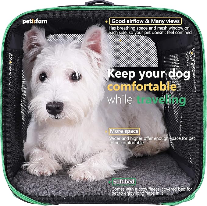 petisfam Easy Load Pet Carrier Bag for Medium or Large Cats with Durable Double-Thickness Fabric and Stable Structure. Black w/Green Trim