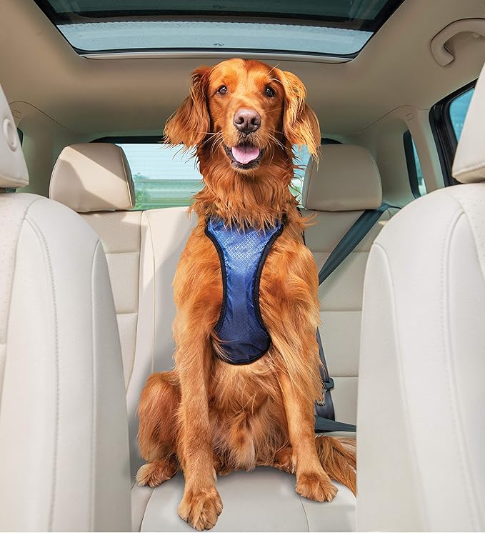 PetSafe Happy Ride Dog Safety Harness for Cars