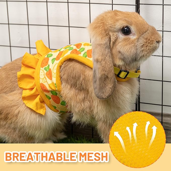 Rabbit Harness and Leash for Walking Escape Proof