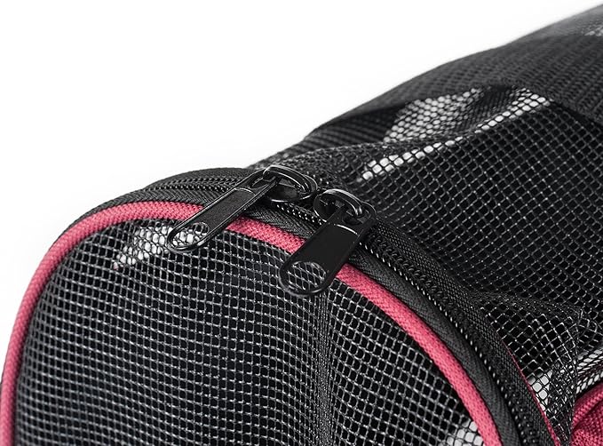 Soft-Sided Pet Carrier for Cat and Small Dog 2 Mesh