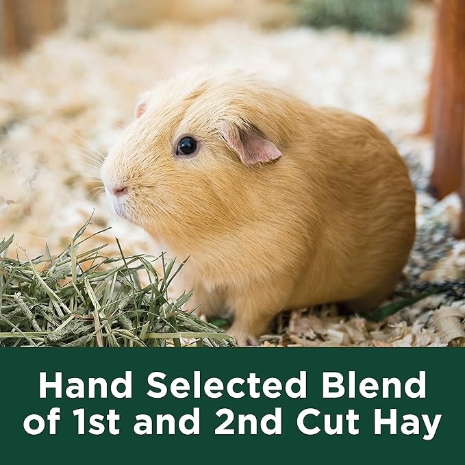 Kaytee Alfalfa Mini Bale 24-Oz Bag 2)